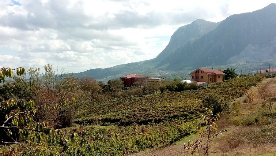 Cantina Macchia dei briganti景点图片