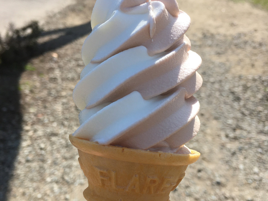 Senbonmatsu Dairy Farm-那须盐原市必去景点