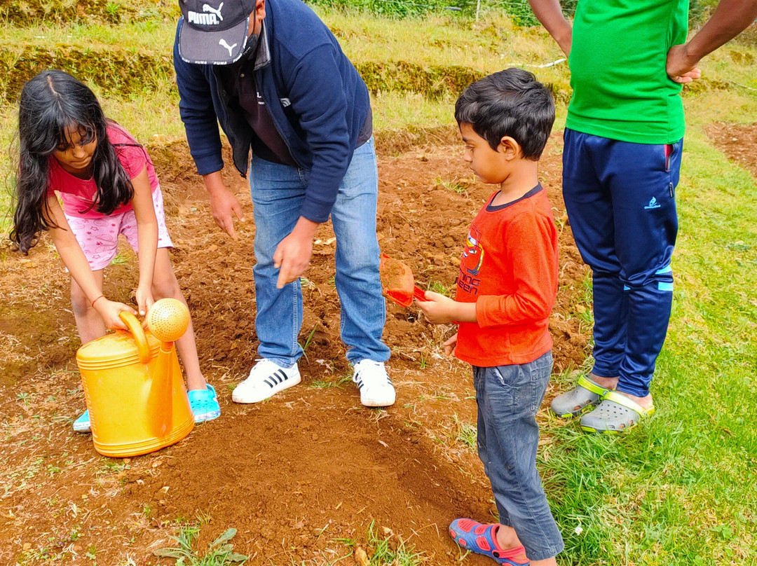 德斯蒂尼农场酒店主图