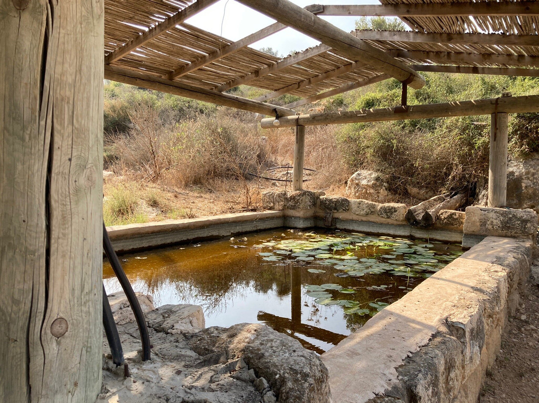 Neot Kedumim Biblical Landscape Reserve-Modiin必去景点