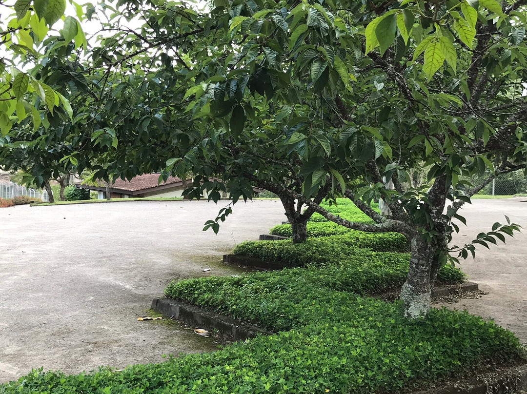 Monastery Our Lady of Peace景点图片