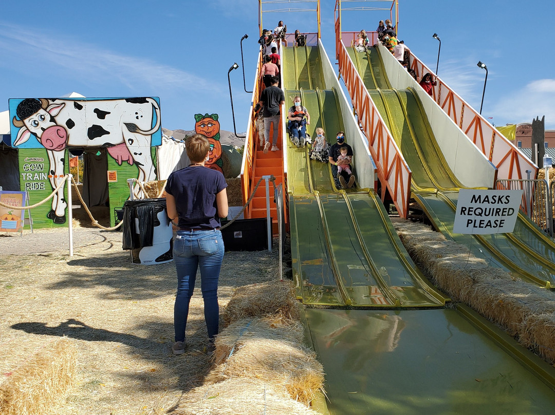 Cornbelly's Corn Maze & Pumpkin Fest景点图片