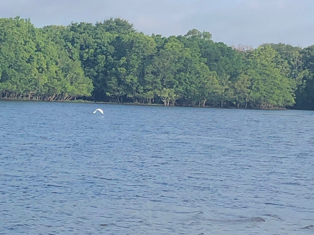 Lake Madison景点图片