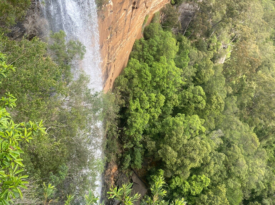 Twin Falls Lookout-Fitzroy Falls必去景点
