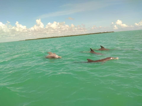 Nature Geek Squad-图伦必去景点