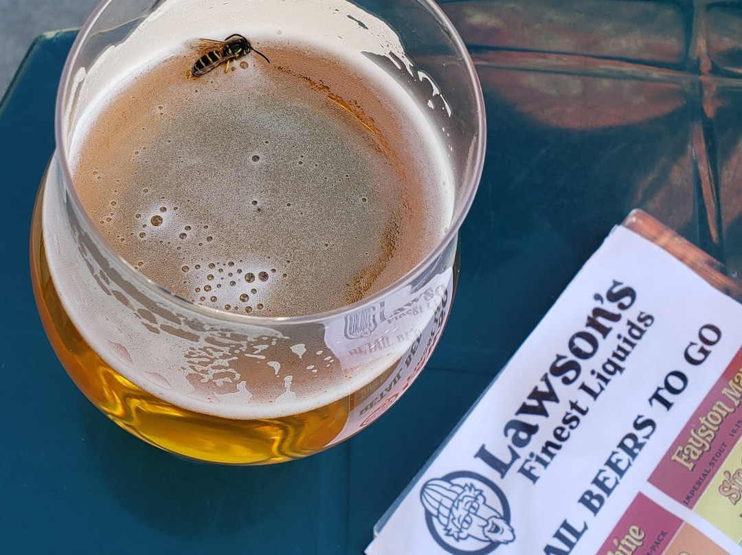 Lawson's Finest Liquids-Waitsfield必去景点