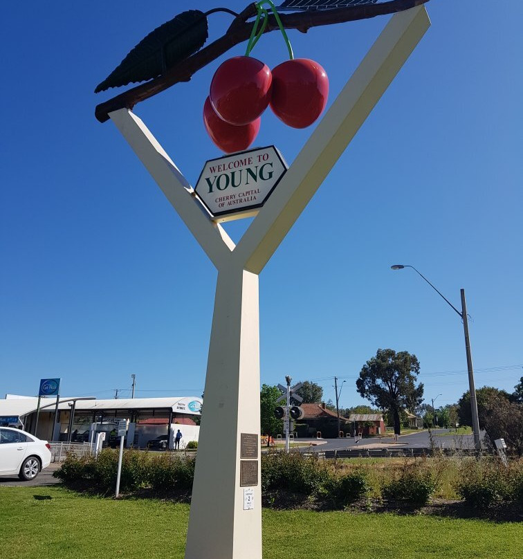 Young Visitor Information Centre-Young必去景点