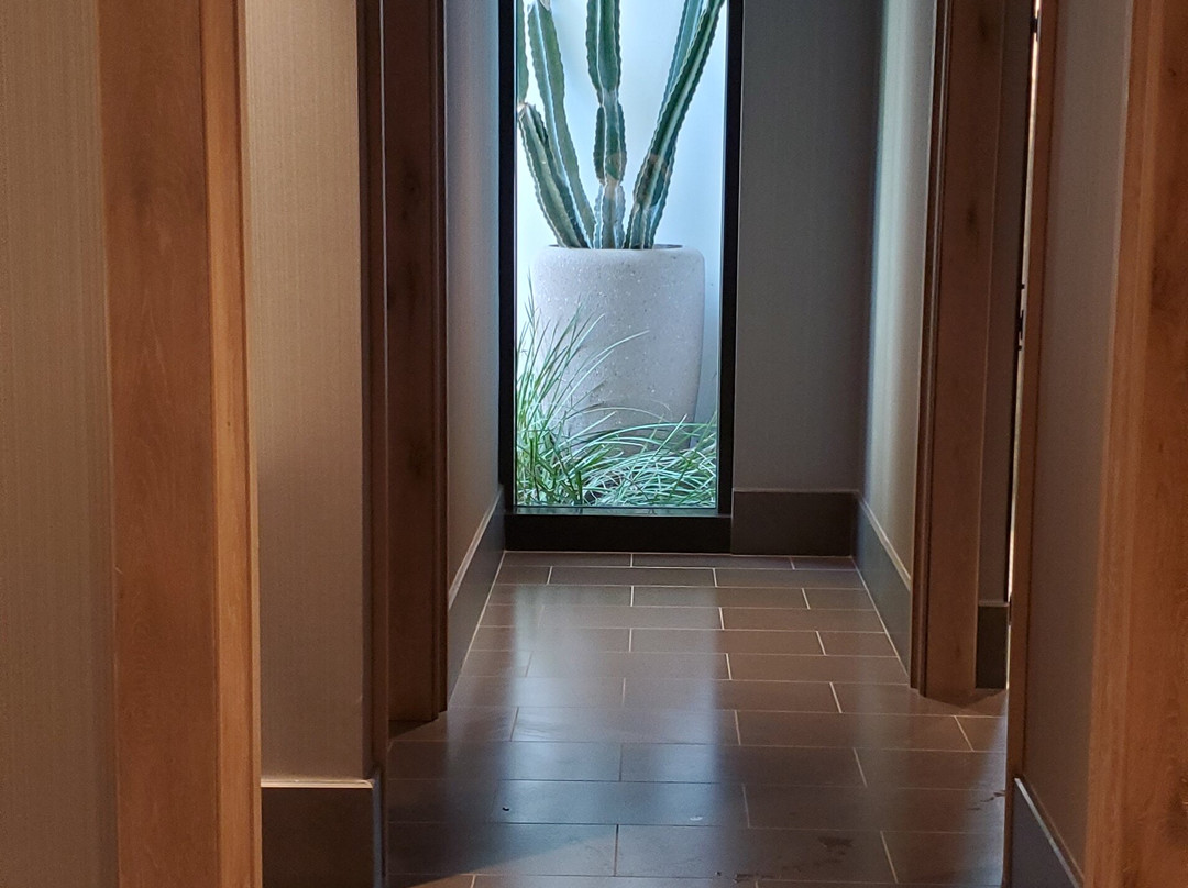 Loma de Vida Spa and Wellness-圣安东尼奥市必去景点