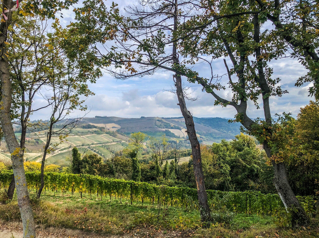 Cascina Langa Space主图