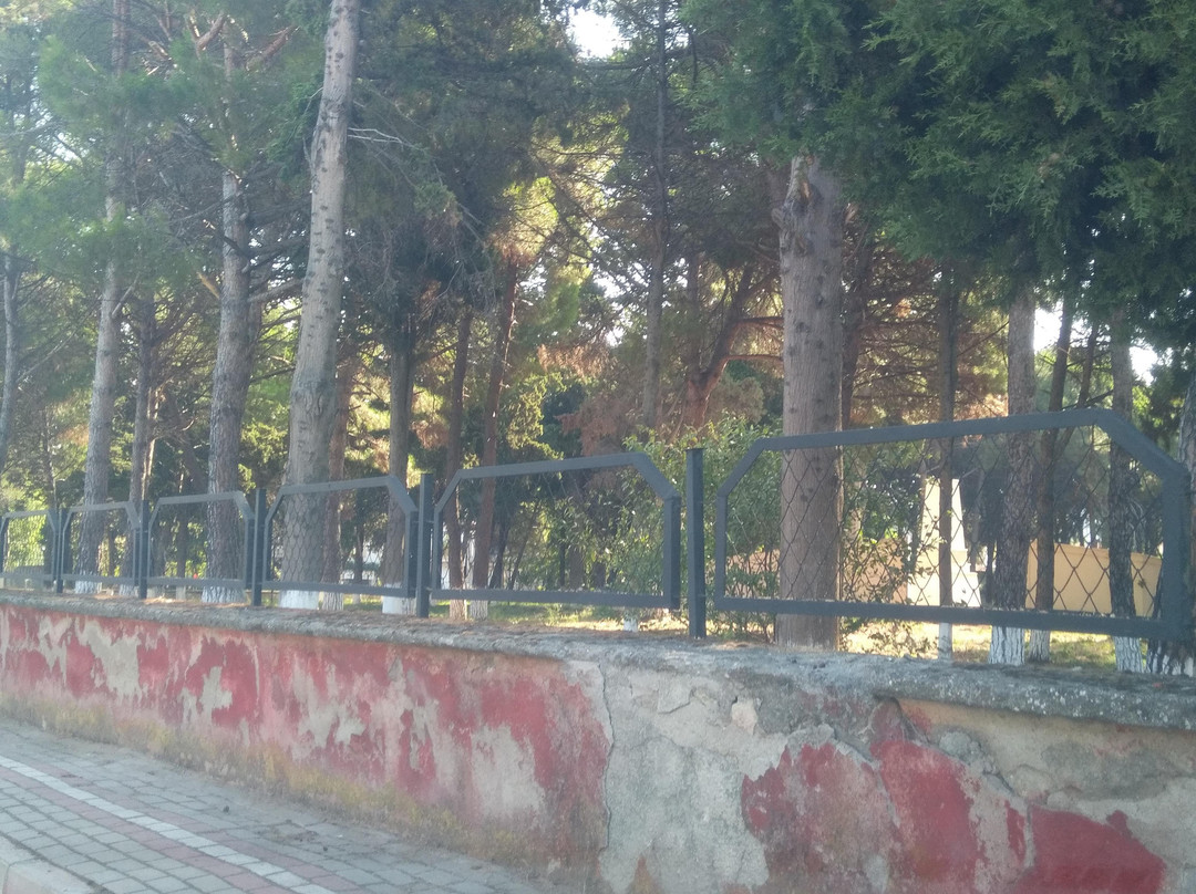 Arıburnu Şehitliği-Cardak必去景点