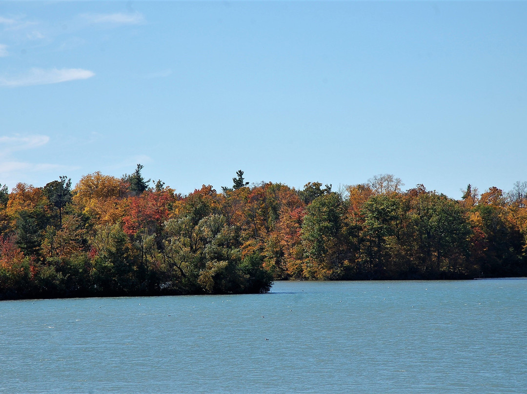 Mel Swart Lake Gibson Conservation Park-Thorold必去景点