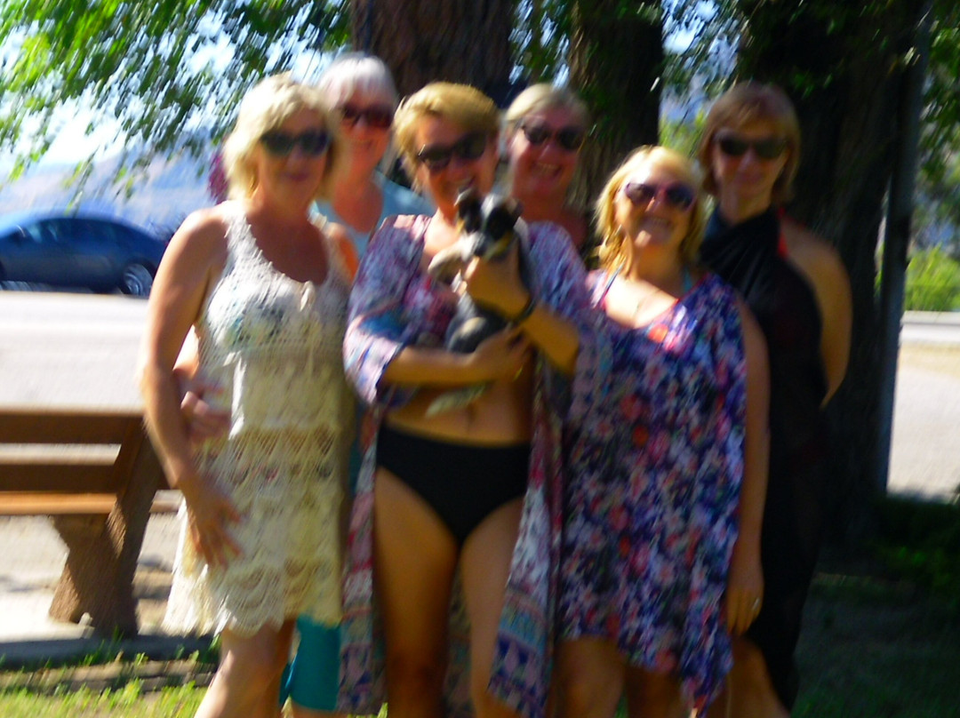 Edgewater Motel主图