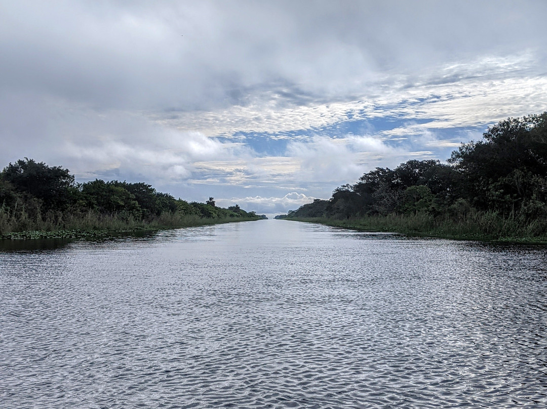 Okeechobee Airboat Charters-Moore Haven必去景点