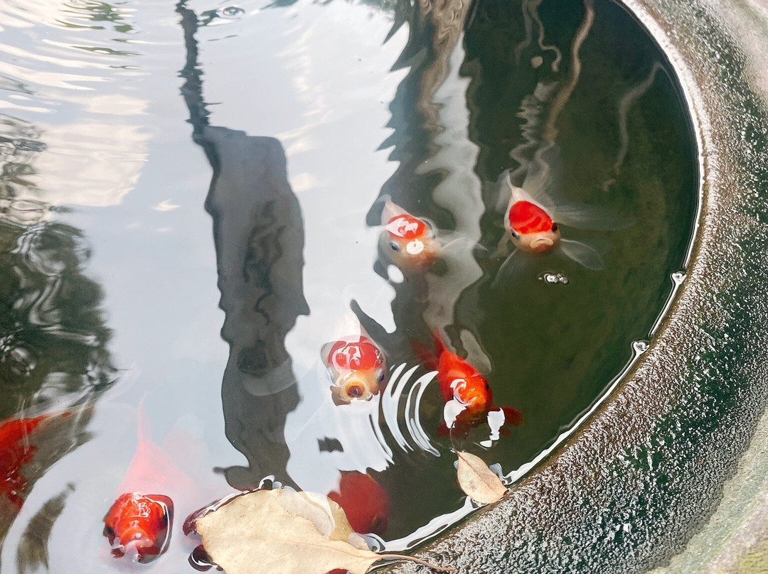 Shinagawa Shrine-品川区必去景点