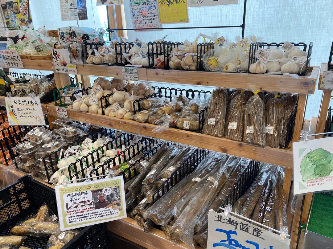 Michi-no-Eki Misaki-美咲町必去景点