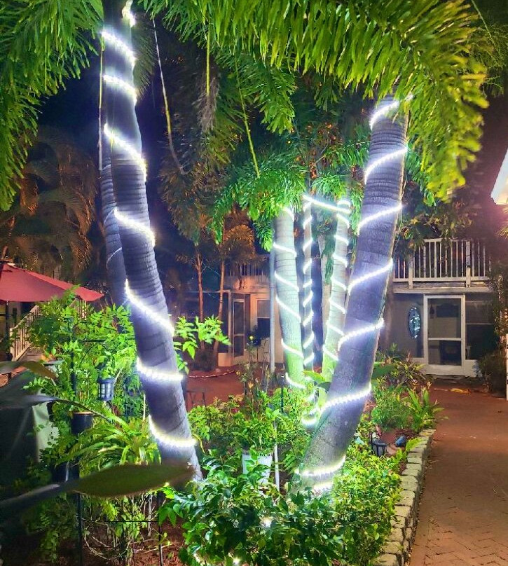 Anna Maria Island Getaway主图