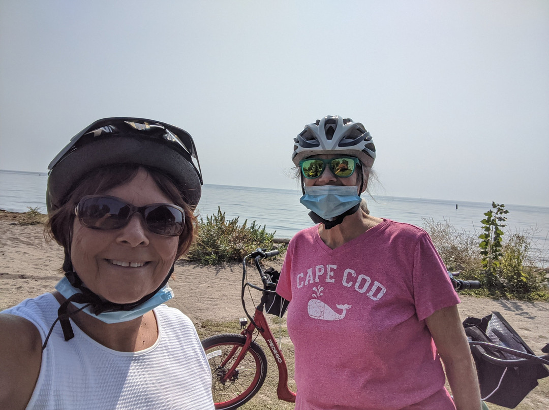 Pedego Junction Electric Bikes景点图片