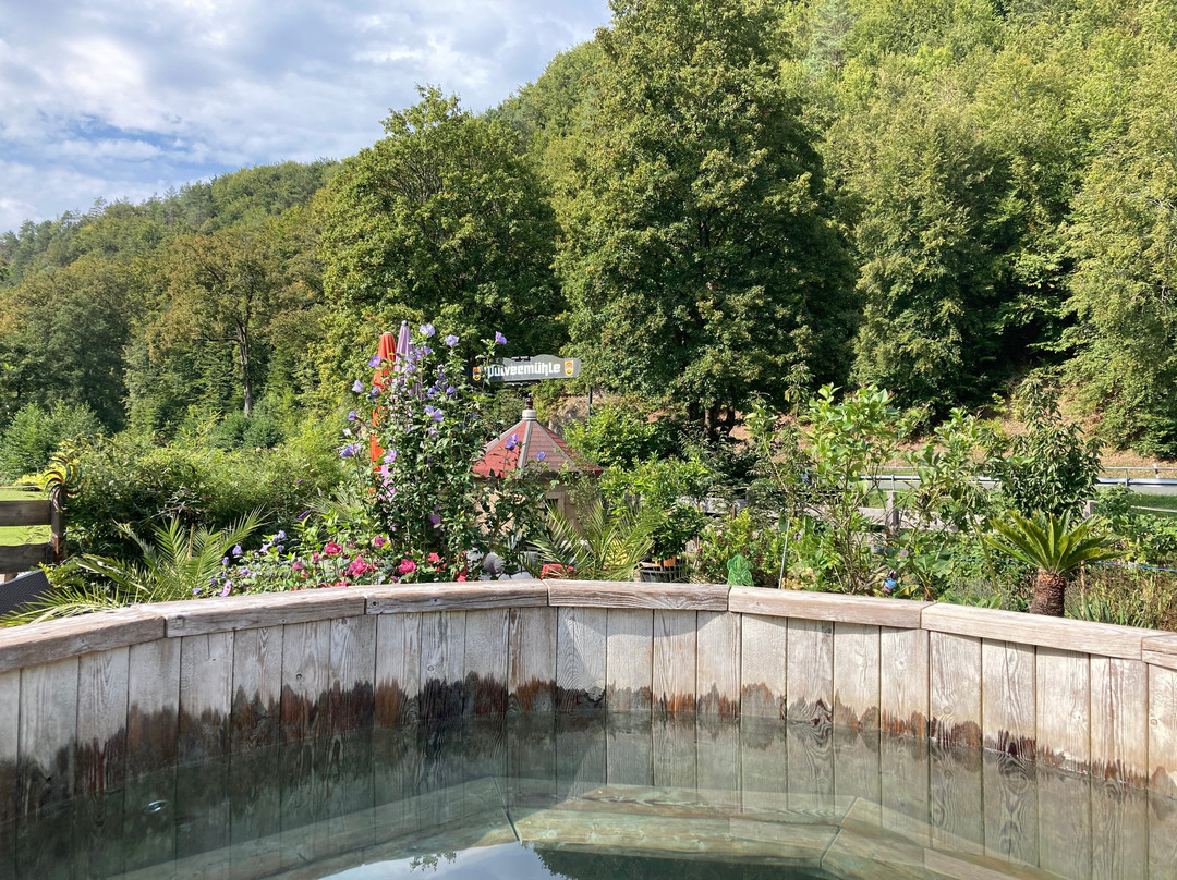 Pension Pulvermuehle主图