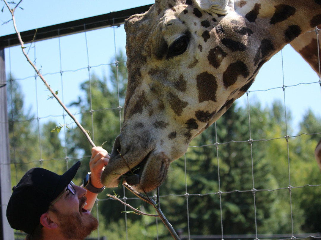 Greater Vancouver Zoo-Aldergrove必去景点