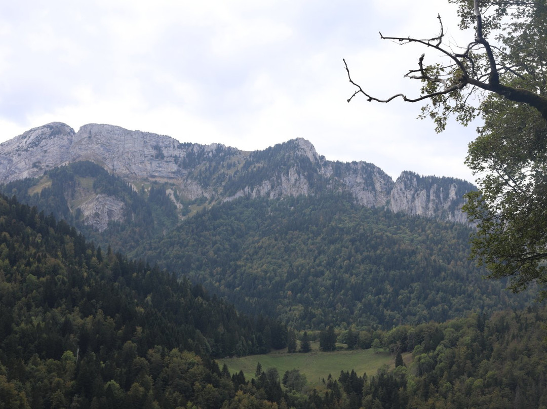 Parc Naturel Regional de Chartreuse景点图片