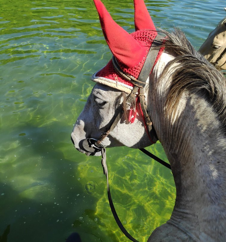 Equitation Chavetourte-Saint-Alban-Auriolles必去景点