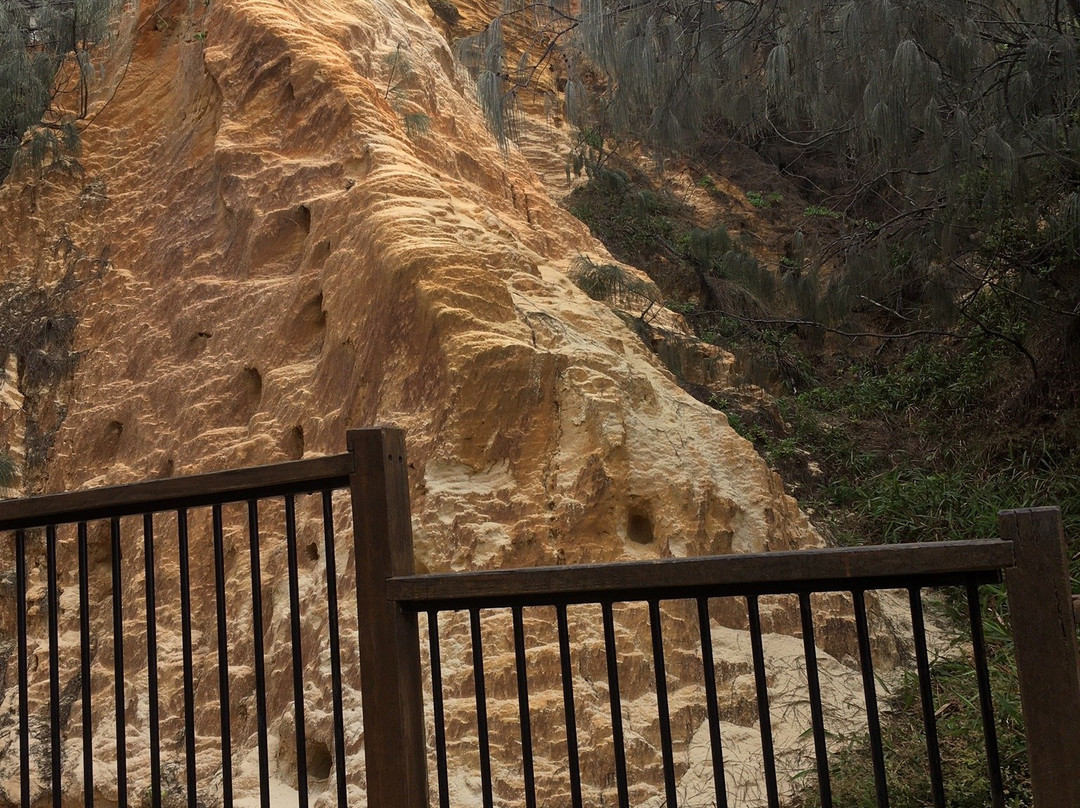 Fraser Discovery Tours-赫维湾必去景点