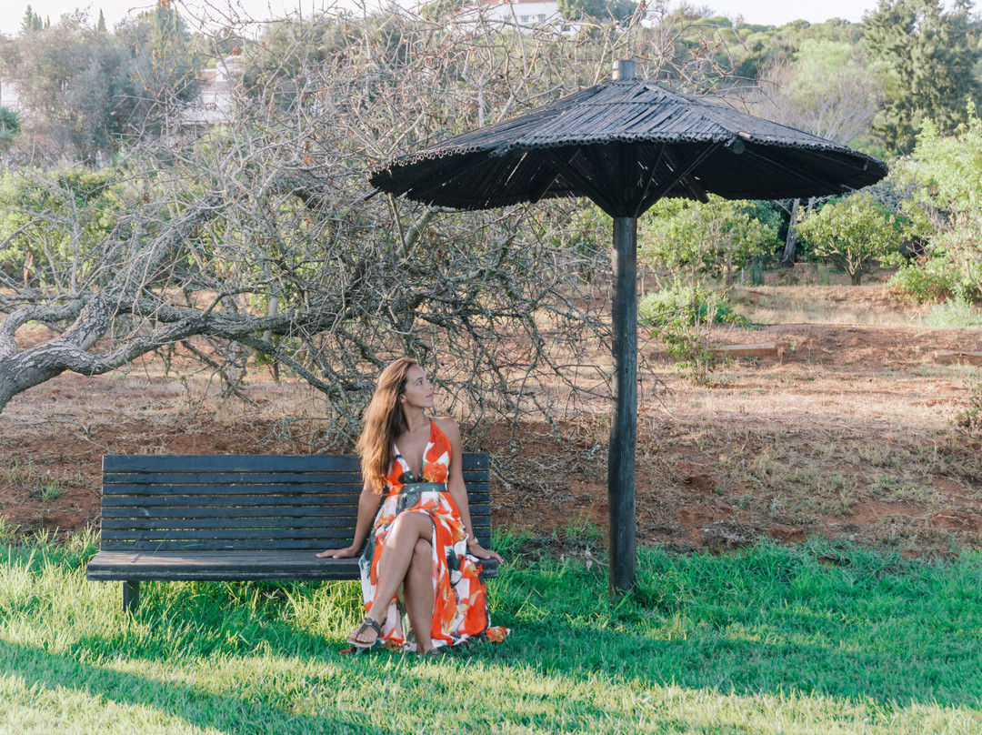 Vila Valverde - Design & Country Hotel主图