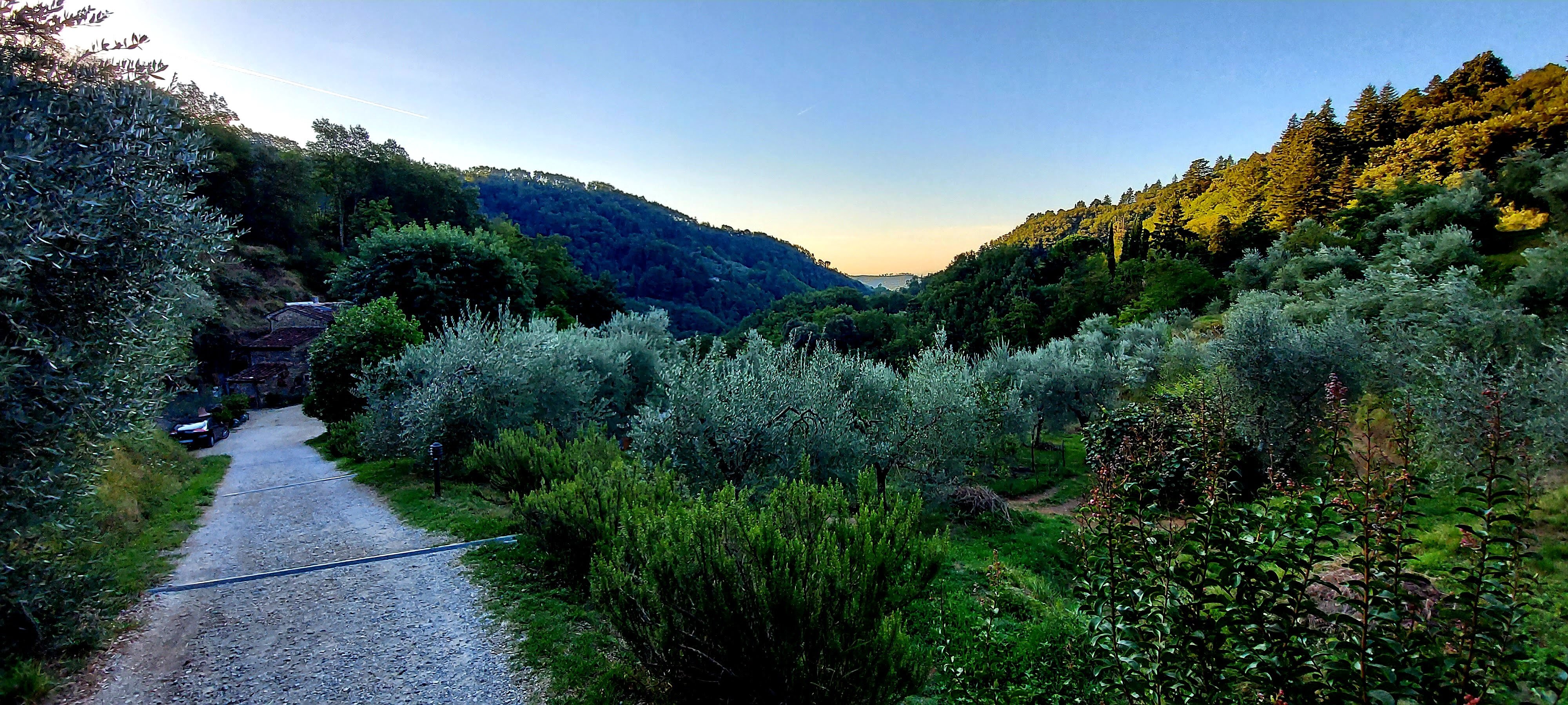 Agriturismo Tananei-官方