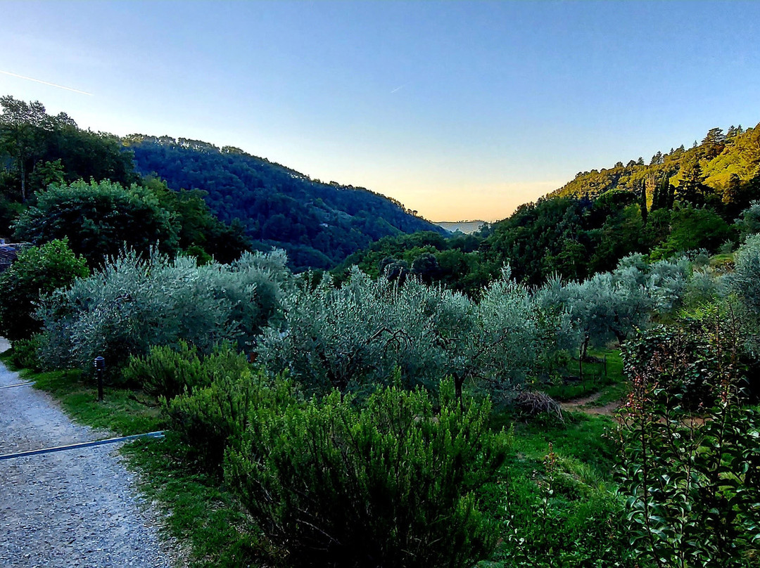 Agriturismo Tananei主图
