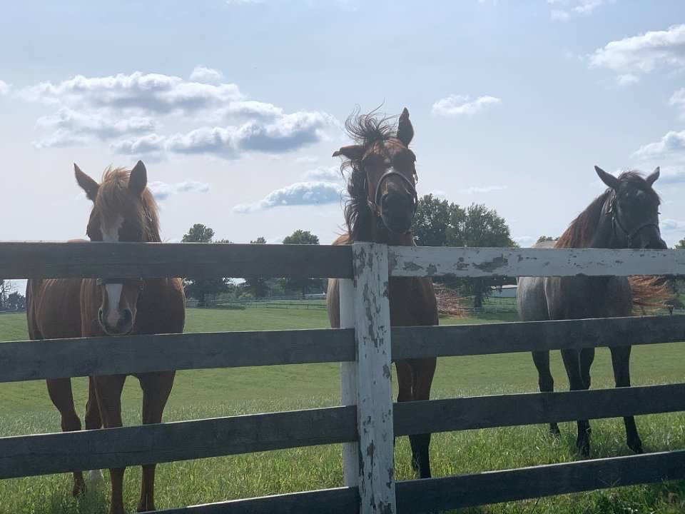 Kentucky Scenic Byway-列克星敦必去景点