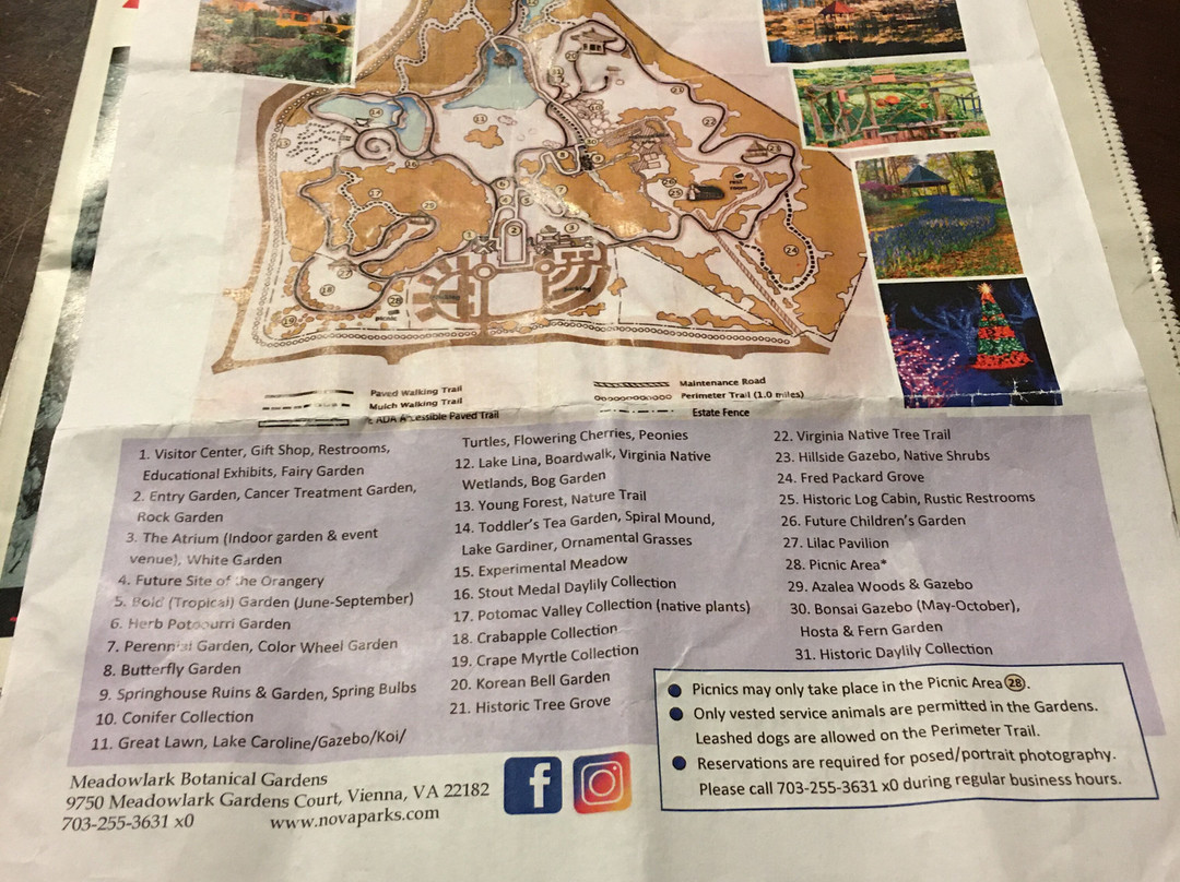 Meadowlark Botanical Gardens-维也纳必去景点