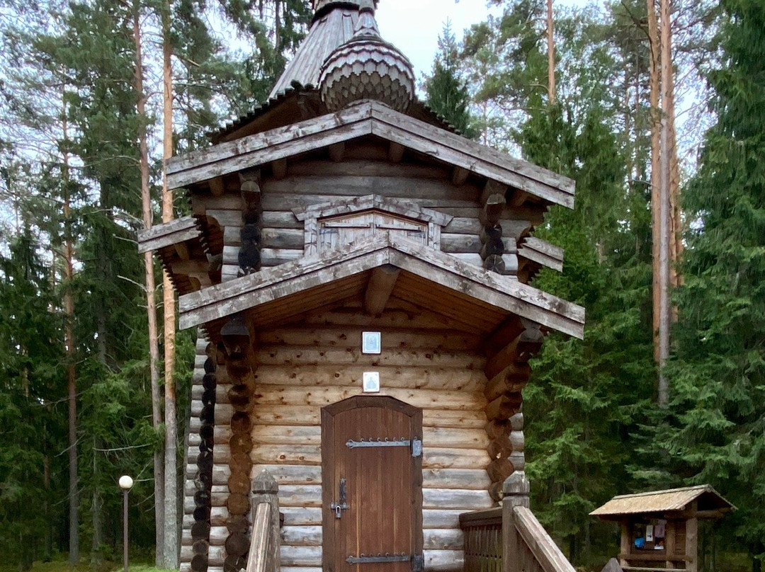 Pansionat Severnoye Siyaniye