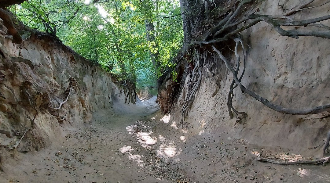 Korzeniowy Dol Gorge景点图片
