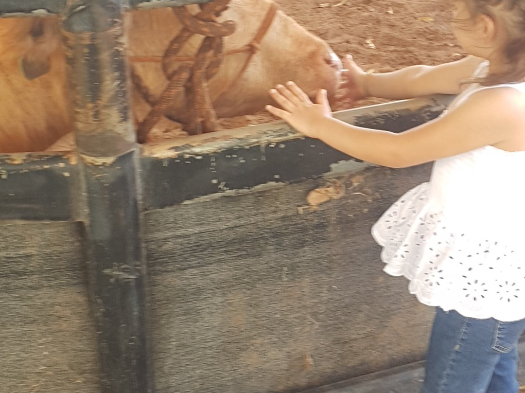 Katherine Outback Experience-凯瑟琳必去景点