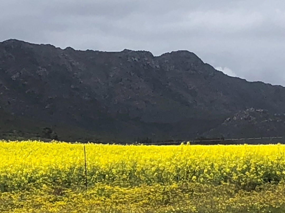 Pakhuis Pass-克兰威廉必去景点