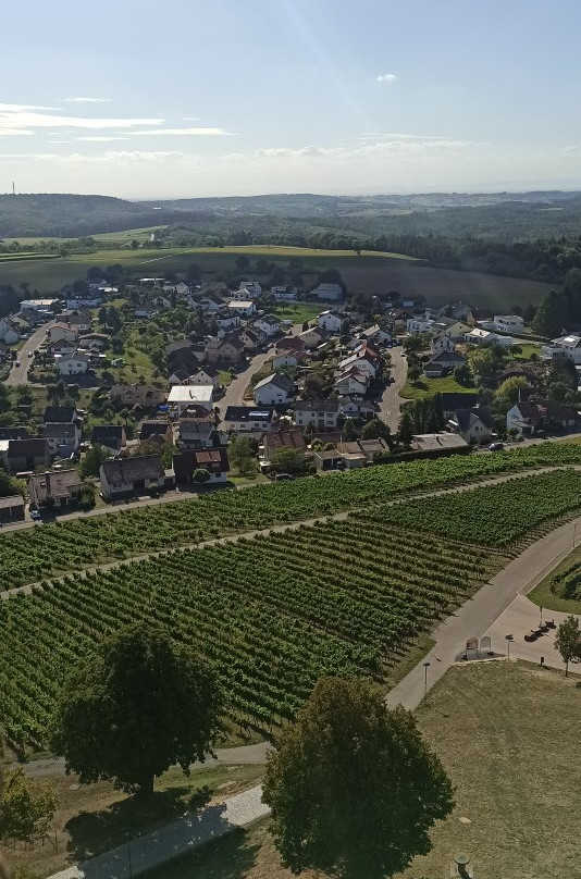 Burg Steinsberg景点图片