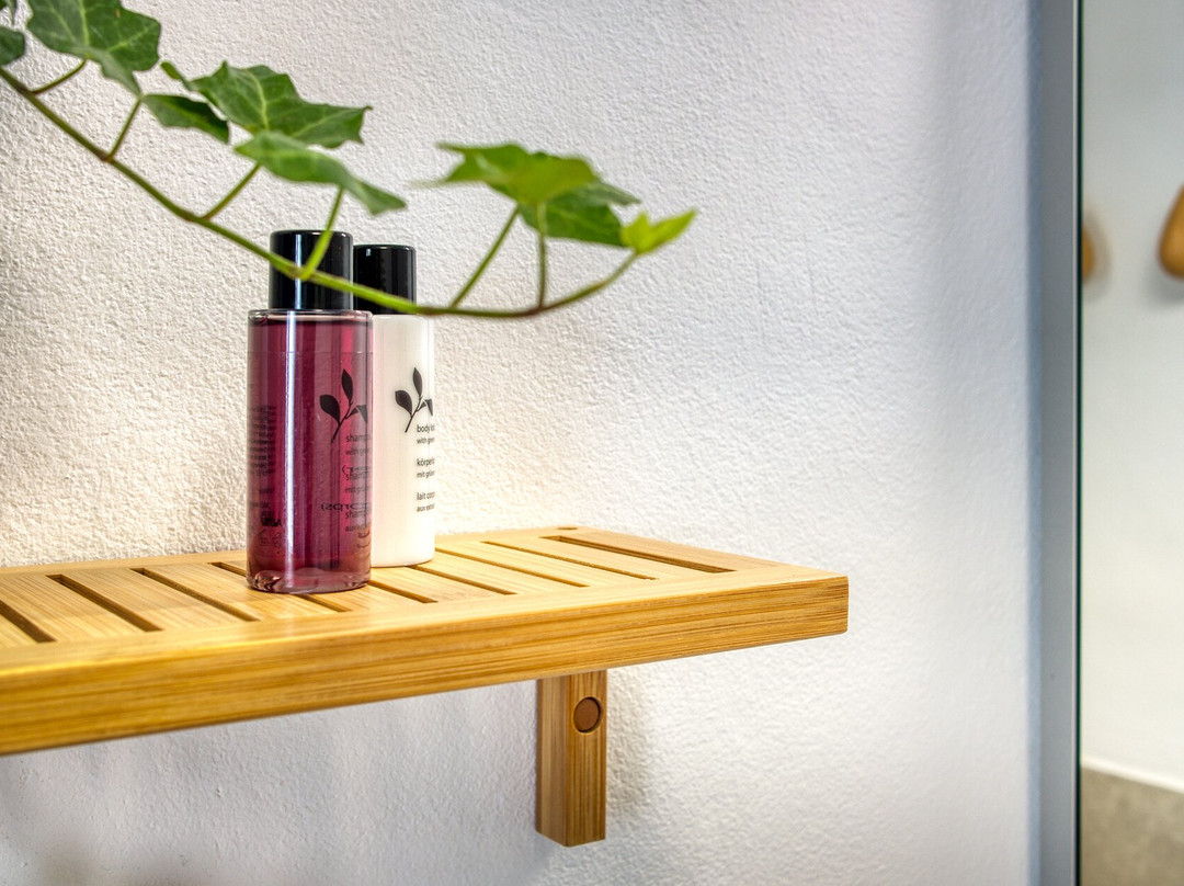 Olive & Ivy Guest House主图