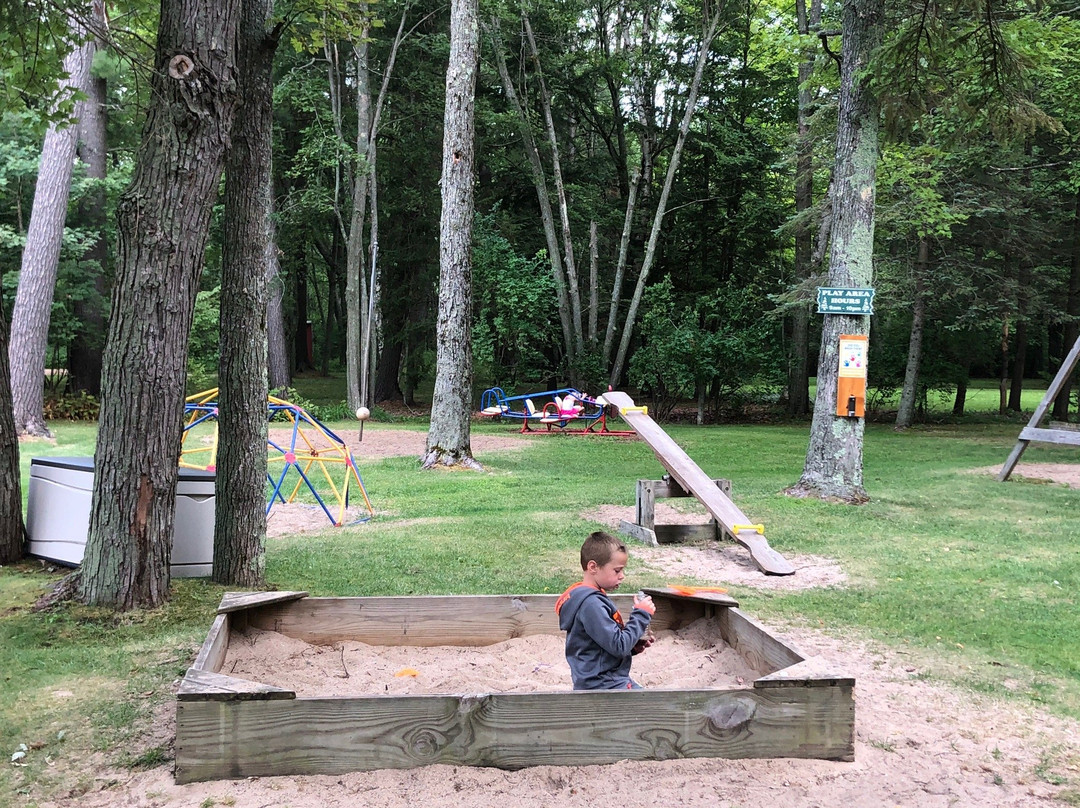 Driftwood Resort主图