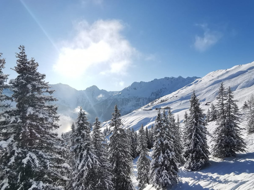 Ski Juwel Alpbachtal Wildschonau-高山溪必去景点