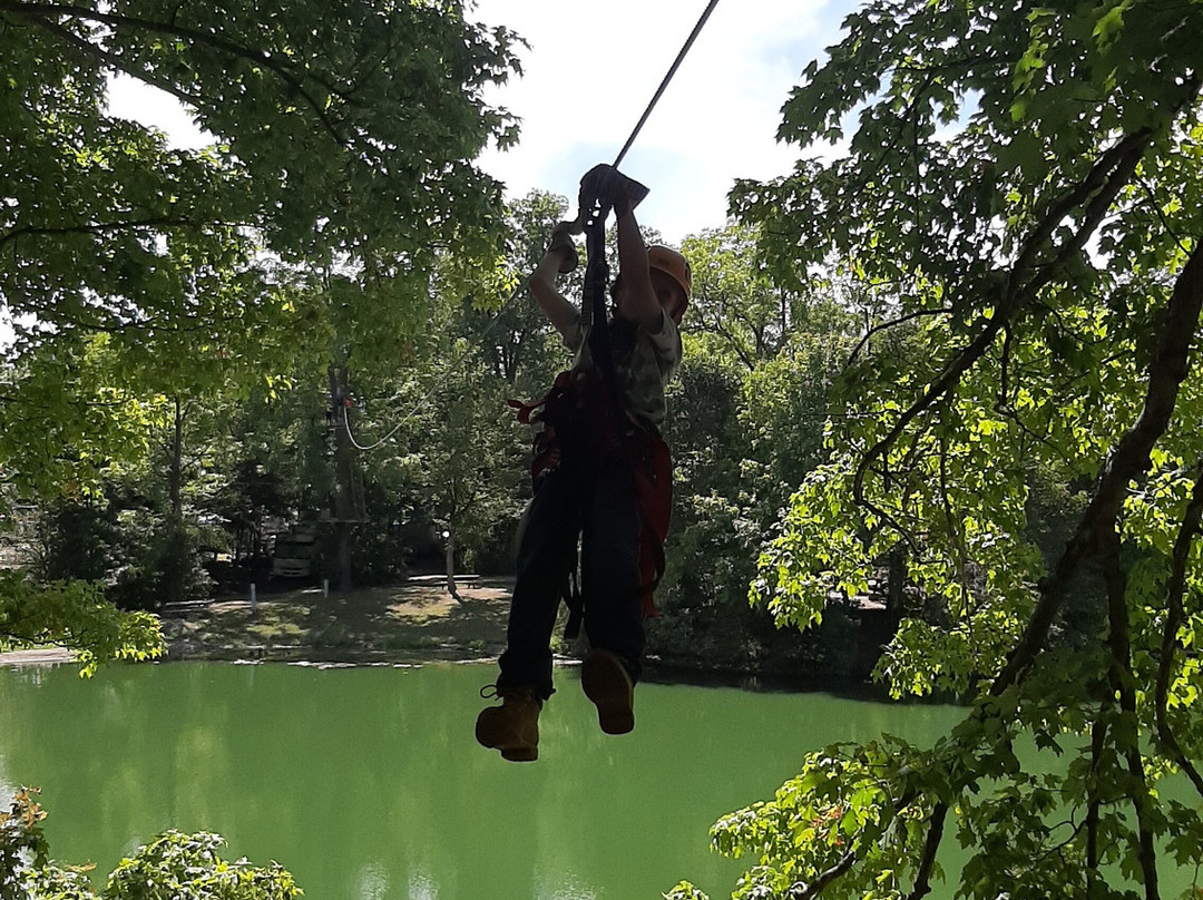 Zip Timber Lake景点图片