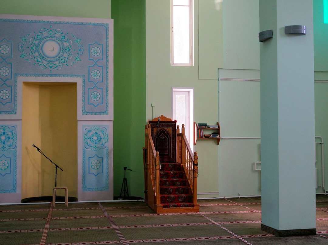 Taub Mosque景点图片
