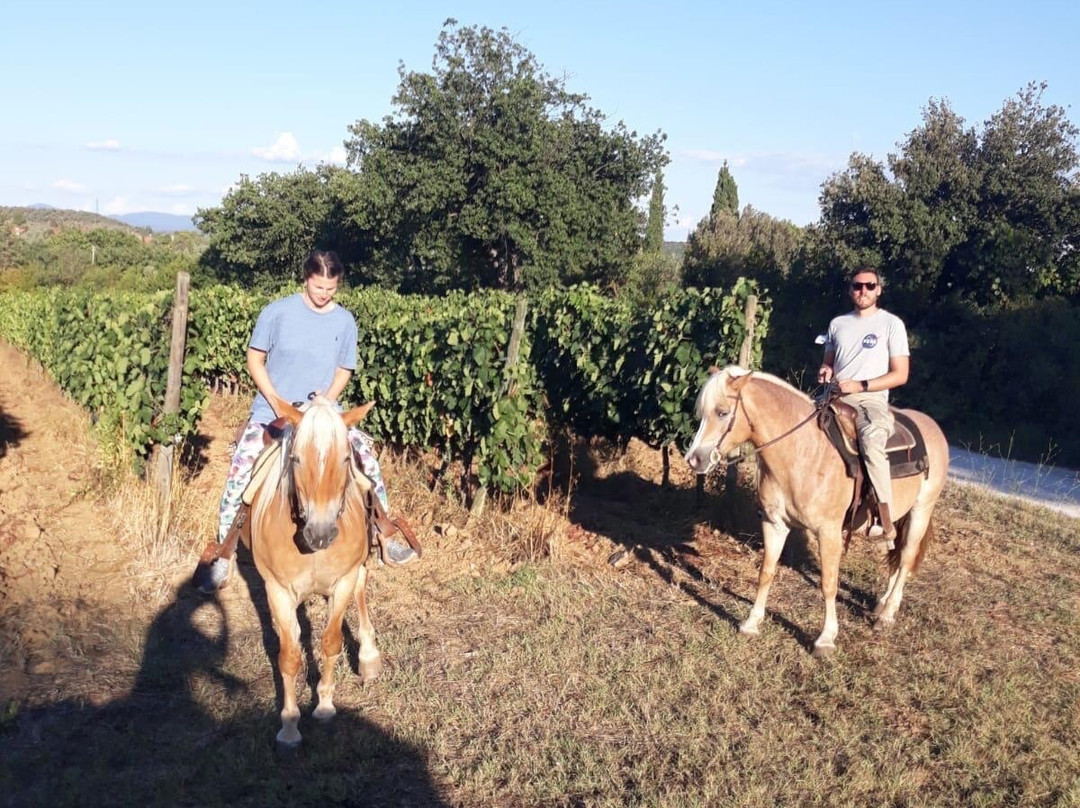 Toscana Ranch Asd景点图片