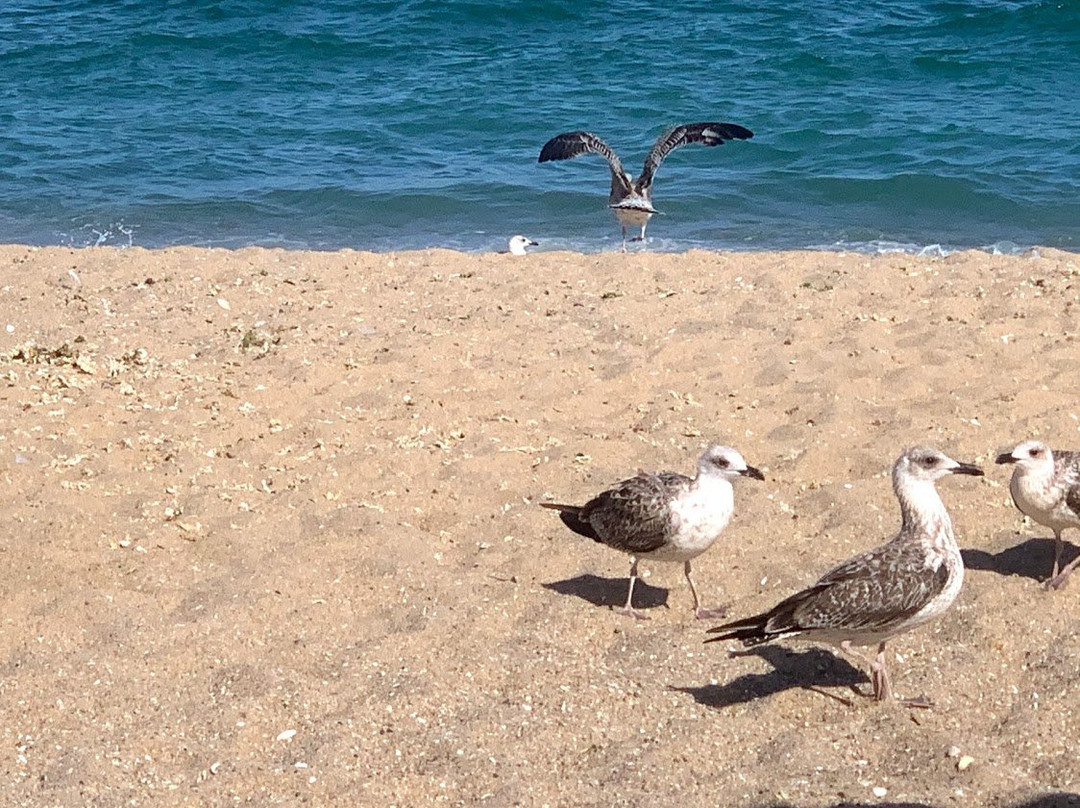 Sentido Marea Hotel主图