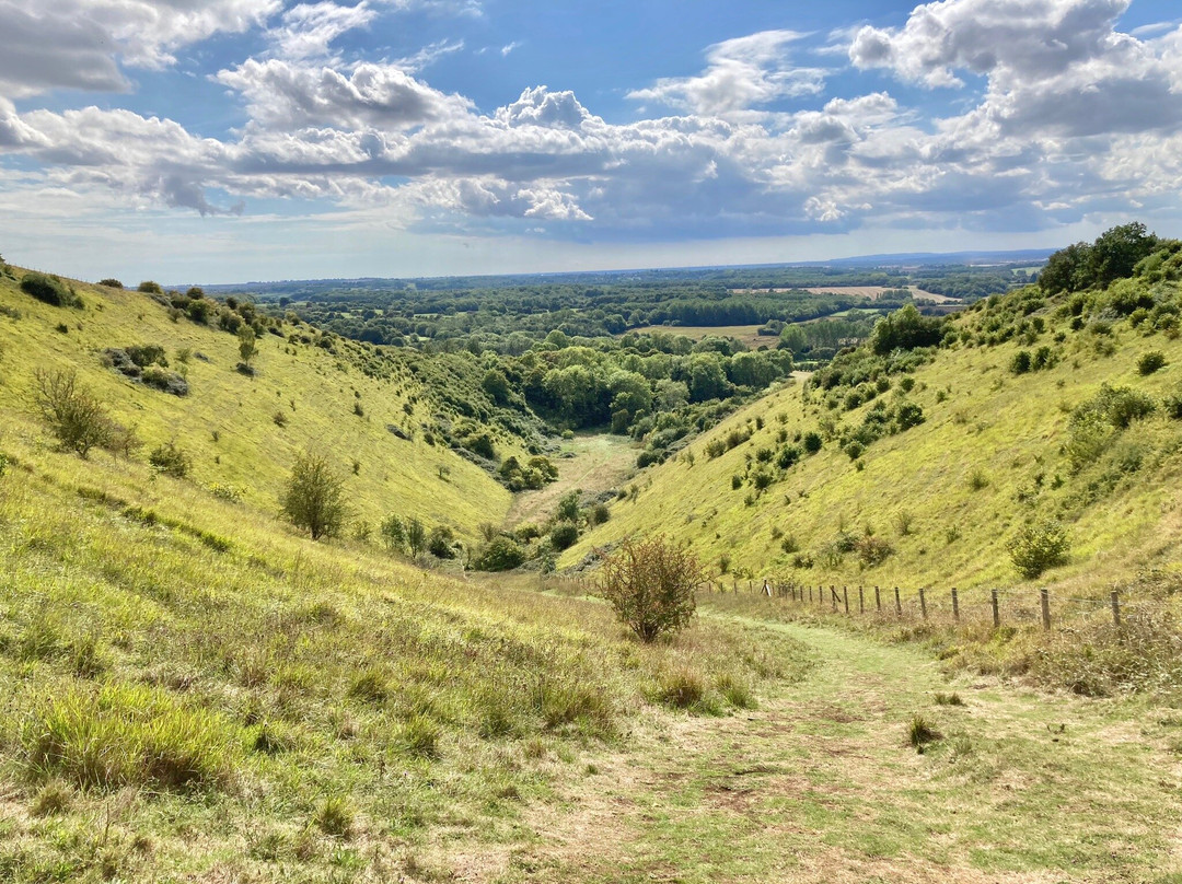 Wye National Nature Reserve景点图片