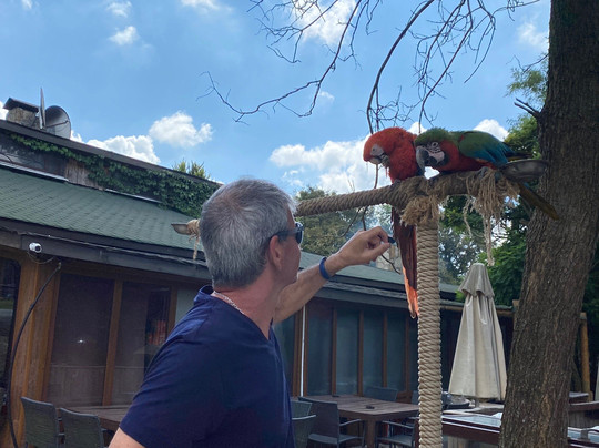 Luxury Istanbul-伊斯坦布尔必去景点