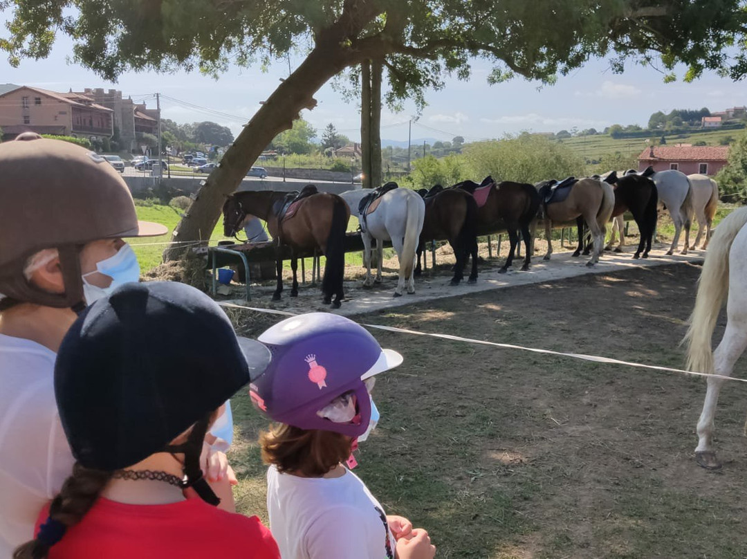 Paseos a Caballo La Robleda景点图片