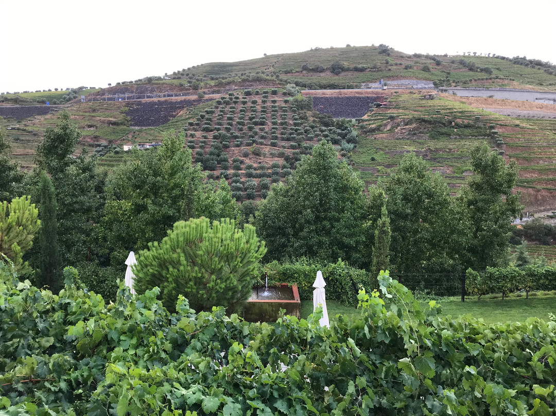 Quinta do Vallado主图