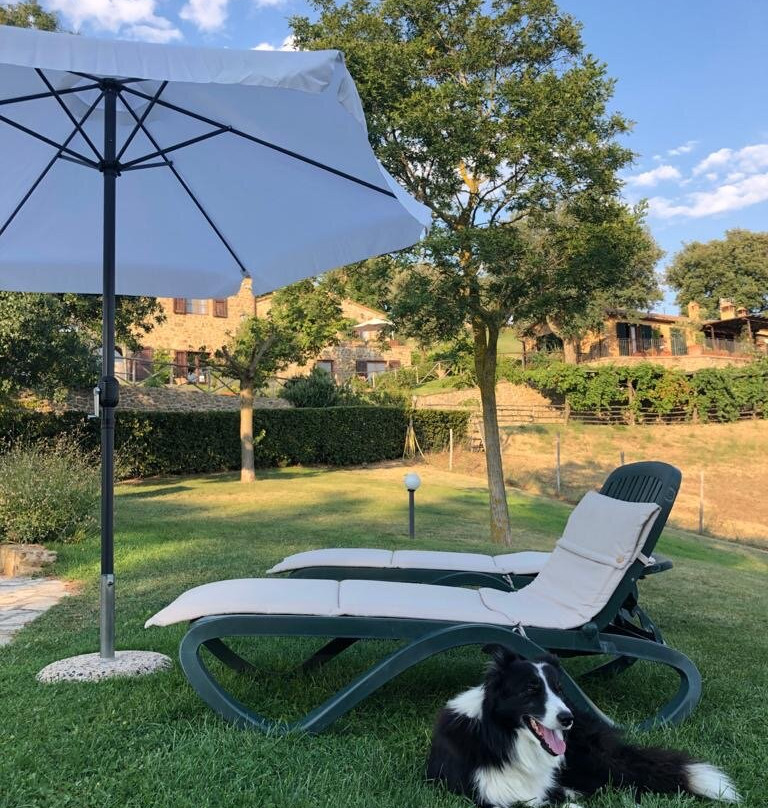 Agriturismo Podere l'Aione主图