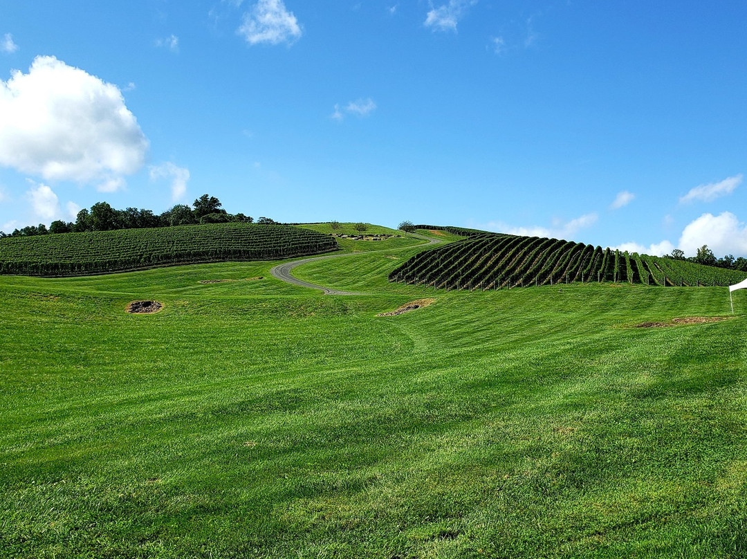 RdV Vineyards景点图片