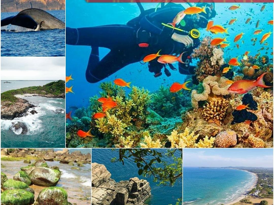 Trincomalee Beach-Trincomalee必去景点